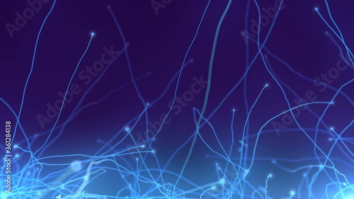 Wallpaper Mural Abstract background dark blue with line motion graphic of medical, business, engineering, science. Technology concept. moving lines and dots. Beautiful animation. 3d render. Torontodigital.ca