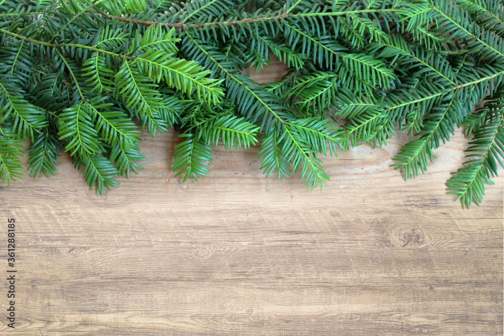 Fond de Noël avec branches de sapin sur planche de bois avec place pour le texte Fond de Noël avec branches de sapin sur planche de bois avec place pour le texte