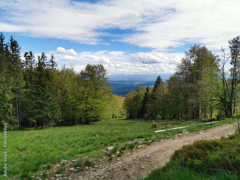 Spring in the Beskids. View of the Tatra Mountains from the Zywiec Beskids.