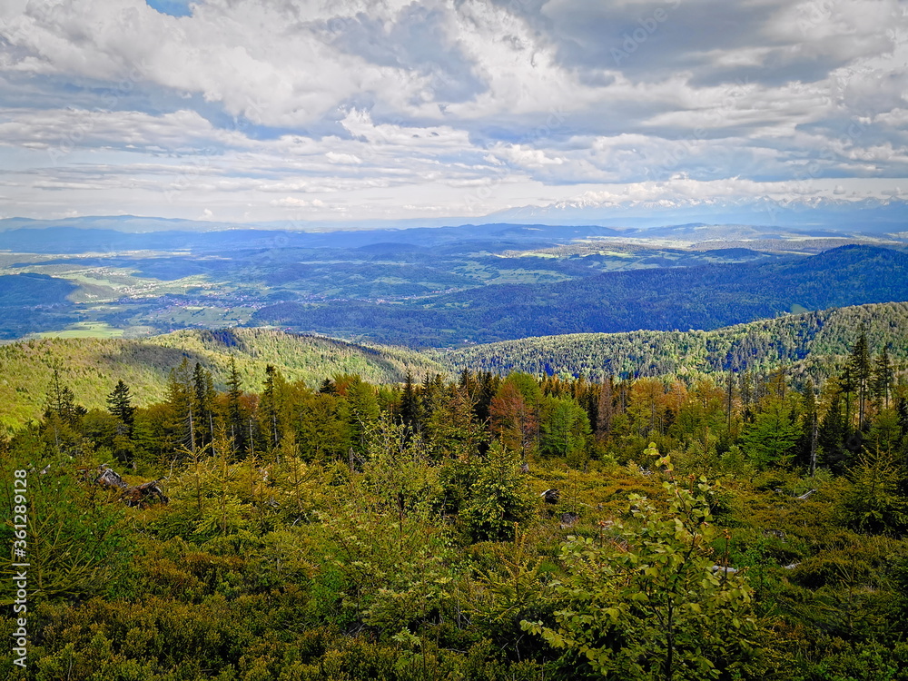 Spring in the Beskids. View of the Tatra Mountains from the Zywiec Beskids. Spring in the Beskids. View of the Tatra Mountains from the Zywiec Beskids.