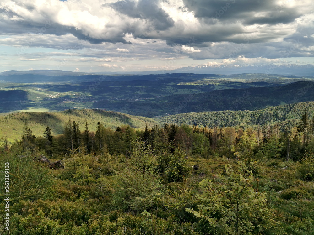 Spring in the Beskids. View of the Tatra Mountains from the Zywiec Beskids.