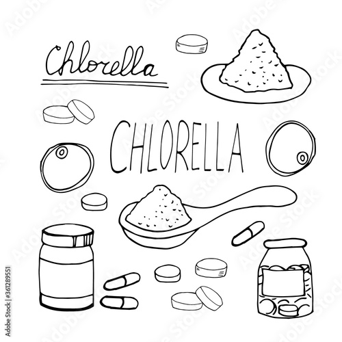 Chlorella hand drawn in doodle style. Set of elements for design, collection. super food, seaweed, algae, tablets, capsules, spoon powder monochrome