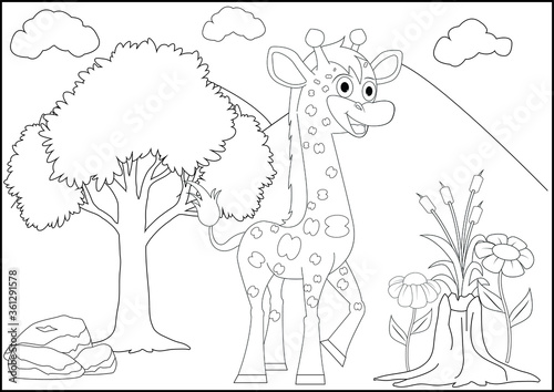 Photography pictures designs animal coloring for kids