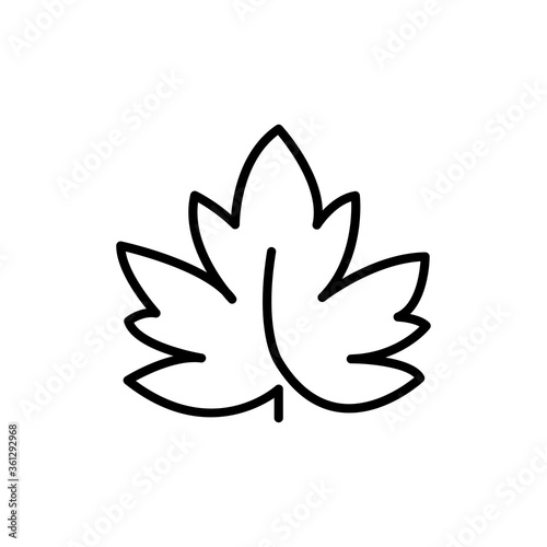 Concepto otoño. Icono plano lineal hoja de arce en color negro
