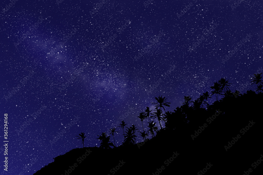 Obraz premium Beautiful cloudscape with palm trees