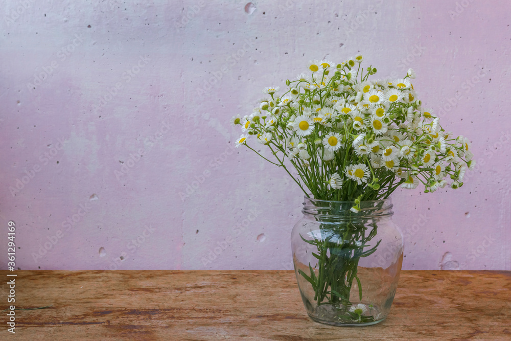 Chamomiles in a glass jar. Chamomiles on a wooden background and near the pink wall Chamomiles in a glass jar. Chamomiles on a wooden background and near the pink wall
