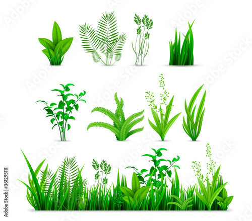 Realistic spring grass set. Illustration of realism style drawn green fresh plants or garden seasonal botanical greens herbs leaves mockup. Collection of natural lawn meadow bushes on white background