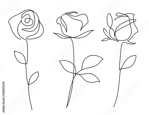 One line drawing. Garden rose with leaves. Hand drawn sketch. Vector illustration.
