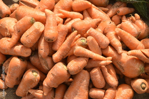 Vegetables for sale at India.