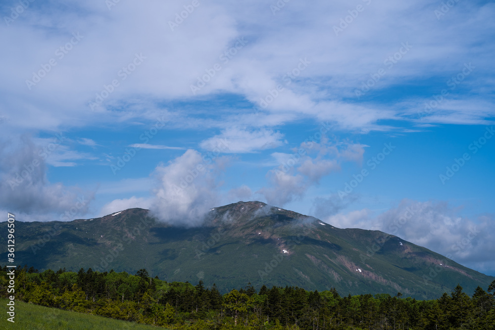 尾瀬横田代からの至仏山夏