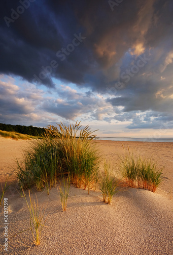 Obraz na płótnie Krajobraz wybrzeża Morza Bałtyckiego,plaża w Kołobrzegu,Polska. w salonie