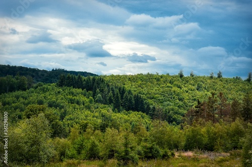 Fototapeta Naklejka Na Ścianę i Meble -  landscape with trees and clouds