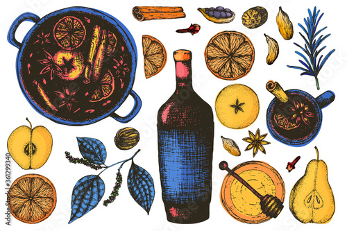 Vector illustration set for mulled wine in the engraving style in color. Spices and seasonings for hot wine, dried fruits, a bottle and a mug, a saucepan with a drink