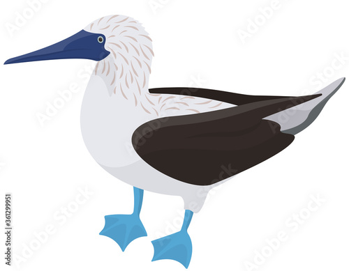 Fotografija Blue-footed booby side view. Tropical bird in cartoon style.