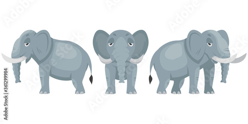 Elephant in different poses. African animal in cartoon style.