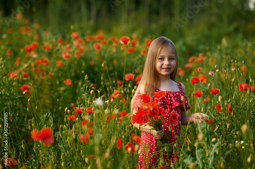 beautiful little girl with blond hair in a field with poppies. The girl holds a bouquet of red flowers in her hands in the field. a large number of red poppies