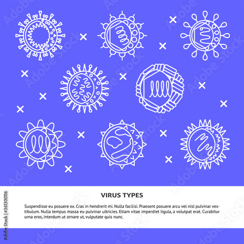 Human virus types poster in line style