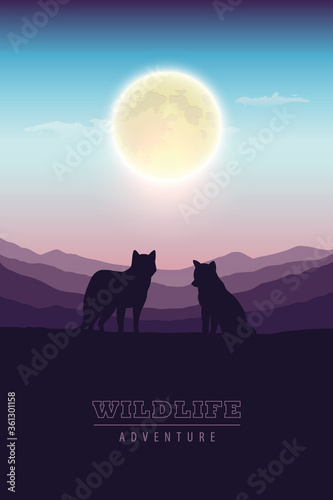 wildlife adventure wolf pack in the wilderness at full moon vector illustration EPS10