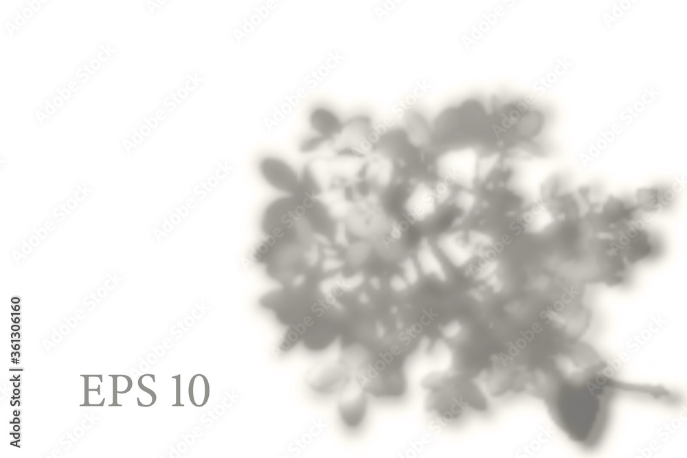 Transparent natural sakura tree branch shadow. Light effect overlay. Mesh grid. Presentation your design card, poster, stories Photo realistic illustration Transparent natural sakura tree branch shadow. Light effect overlay. Mesh grid. Presentation your design card, poster, stories Photo realistic illustration