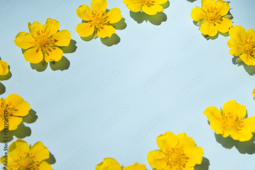 Floral yellow rectangular frame on blue background. Floral arrangement for design postcards. Top view. Flat lay Floral yellow rectangular frame on blue background. Floral arrangement for design postcards. Top view. Flat lay