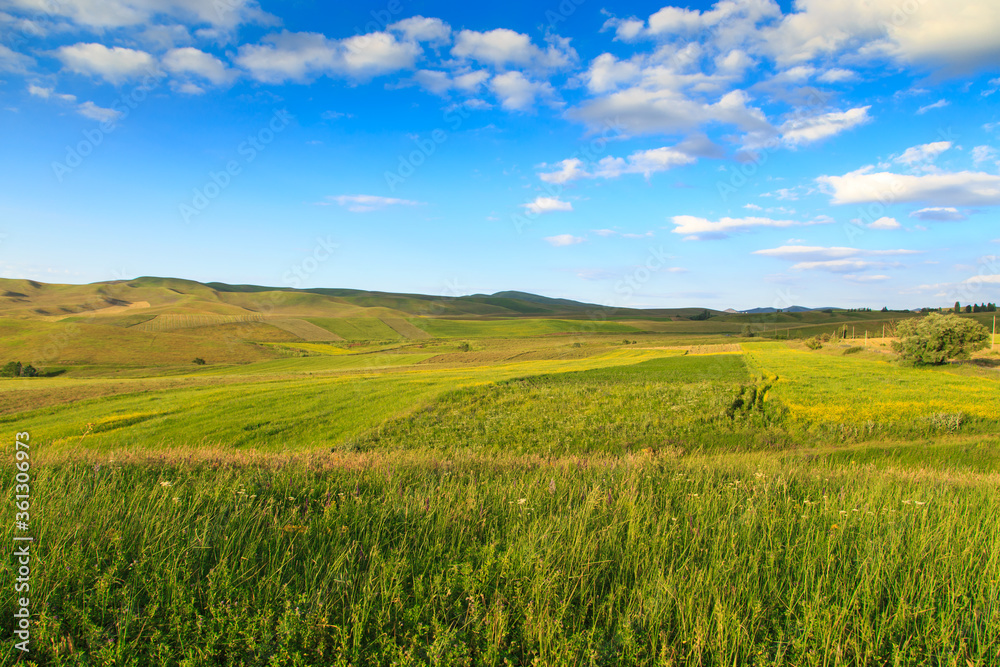 Beautiful spring and summer landscape. Lush green hills. Spring blooming herbs.