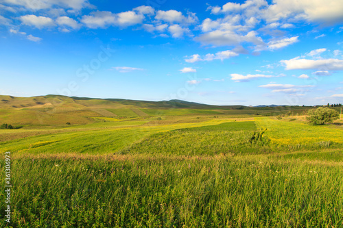 Beautiful spring and summer landscape. Lush green hills. Spring blooming herbs.