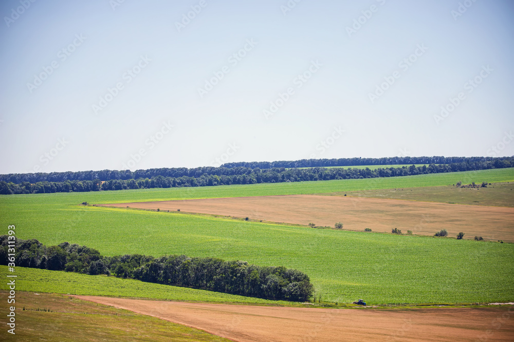 Summer landscape with green forest strips and agricultural fields against the background of mountains and clouds