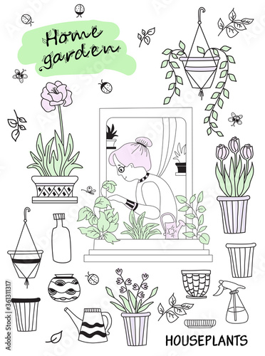 houseplants in modern home and people. Elderly woman in green interior. Set of cute vector doodles - woman in the window with flowerpots and flowers, pots and tools. Hobbies and green house