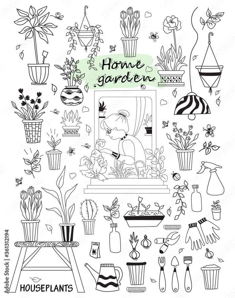Obraz premium Indoor plants in a modern house and people. Elderly woman in a green interior in an open window. Set of doodles houseplants and flowers, topical plants, furniture, tools. Hobbies and green house