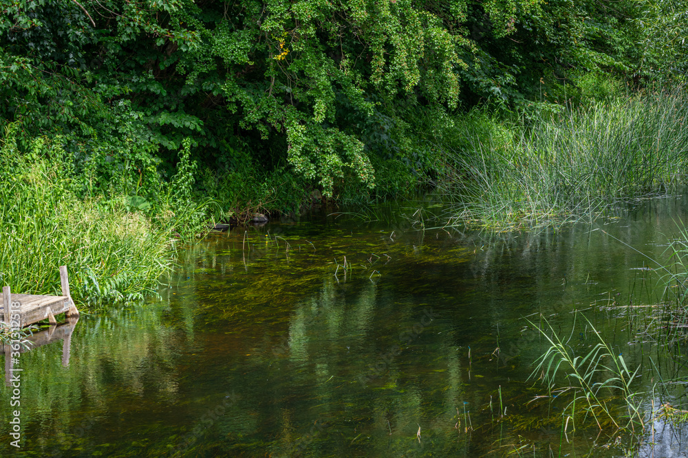 Beautiful river floating through a lush, green area. Reflections from trees. All green picture Beautiful river floating through a lush, green area. Reflections from trees. All green picture
