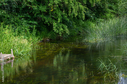 Fototapeta Naklejka Na Ścianę i Meble -  Beautiful river floating through a lush, green area. Reflections from trees. All green picture