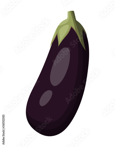eggplant isolated on white background, vector illustration