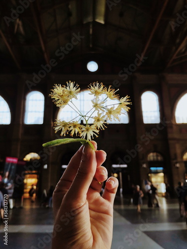 flower in hand at Zurich Main Train Station, Switzerland photo