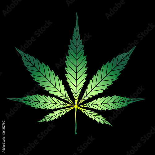 Cannabis green leaf isolated on black. Vector cartoon hand drawing logo marijuana grass or ganja plant. Shape or silhouette herbal nature symbol.