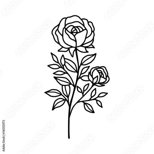 Hand drawn rose flower element. Floral line art for feminine logo, icon, business card, wedding invitation, or decoration