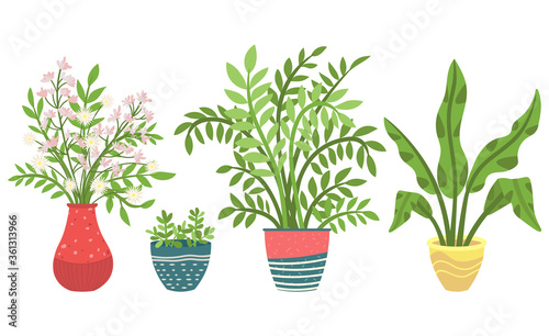 Flowers in vases, floral decor for home flat style flourishing on branches, plant with frondage, tender and elegant design, container interior. Isolated flowerpot with blooming plant . Vector in flat