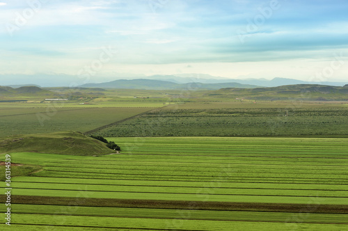 fields of Iceland photo