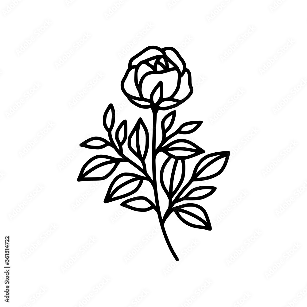 Obraz premium Hand drawn rose flower element. Floral line art for feminine logo, icon, business card, wedding invitation, or decoration