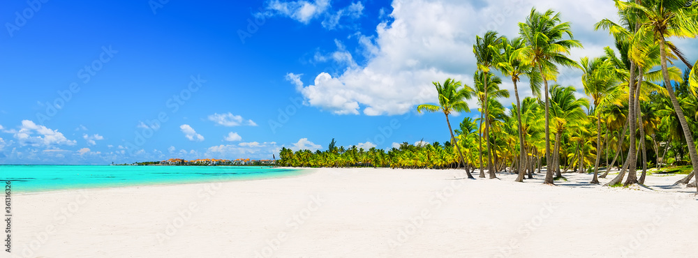 Coconut Palm trees on white sandy beach in Punta Cana, Dominican Republic - obrazy, fototapety, plakaty 