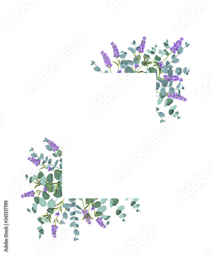 Eucaliptus and lavender elements design template. Simple design with frame flowers. Herbal vector frame
