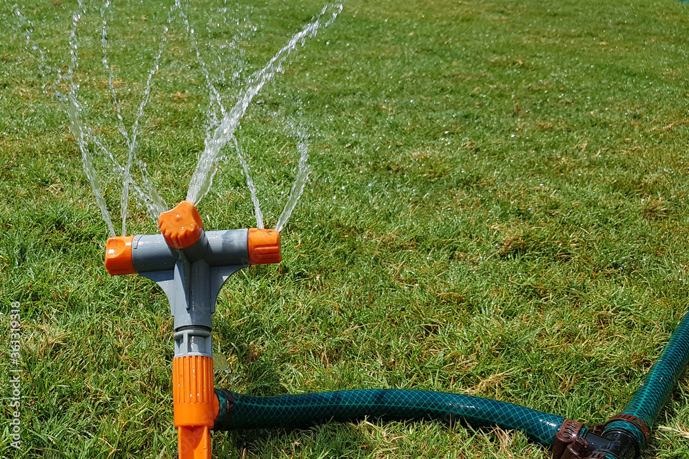 automatic sprinkler system watering the lawn on a background of green grass, close-up.