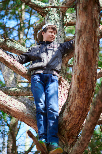 Teenage boy playing outdoor, climbing a tree, bright sunlight, beautiful day