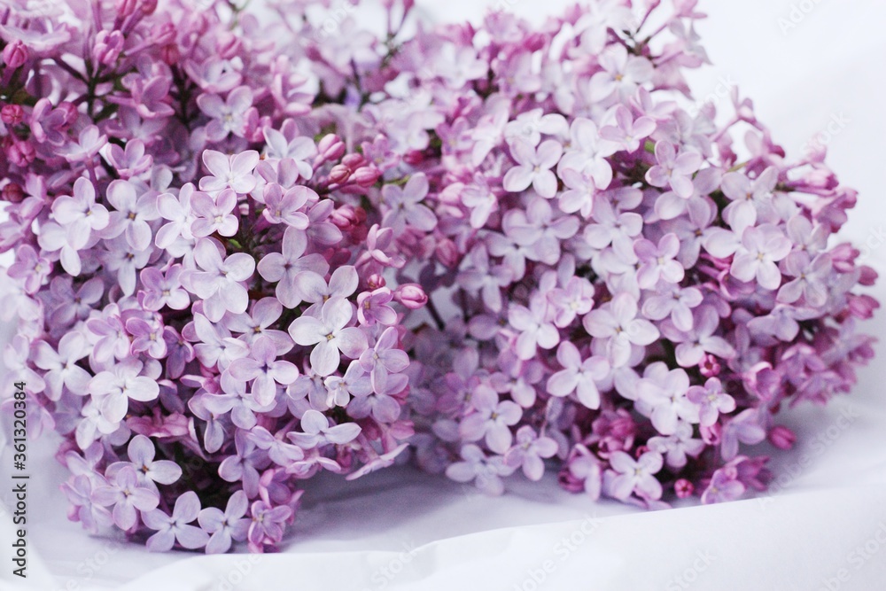 Beautiful bouquet of lilac on white paper 
