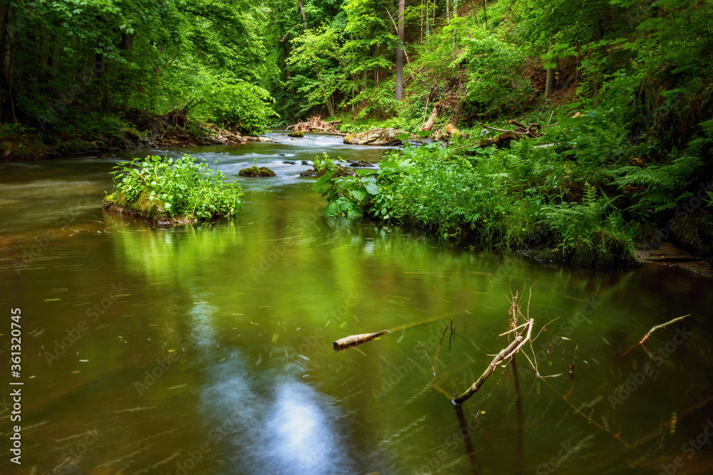 Idyllic fresh green small bay on mountain river. River Kamenice, Czech republic. Idyllic fresh green small bay on mountain river. River Kamenice, Czech republic.