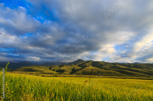 Beautiful spring and summer landscape. Lush green hills. Spring blooming herbs.