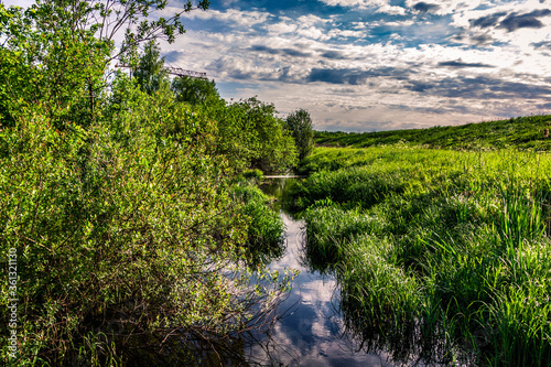 river in the forest