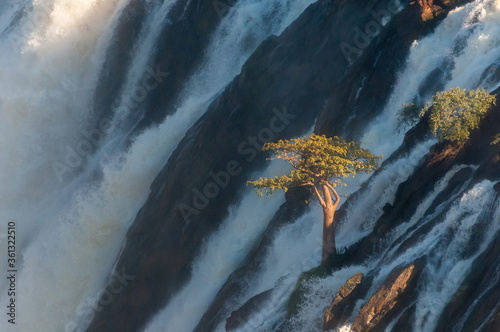 Baobab tree in the middle of he Ruacana waterfall