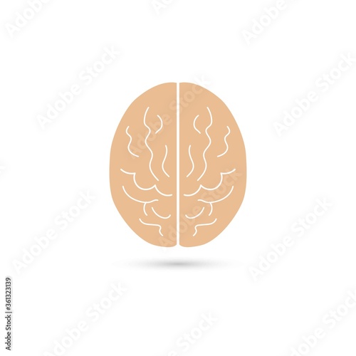Vector illustration of human cerebral cortex