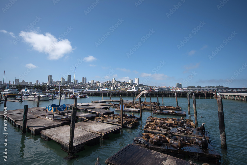 Pier 39 Sea Lion Center San Francisco
