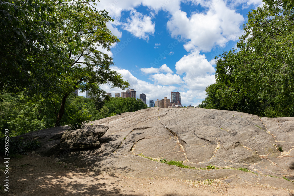 Large Rock at Central Park with Green Trees during Spring in New York City